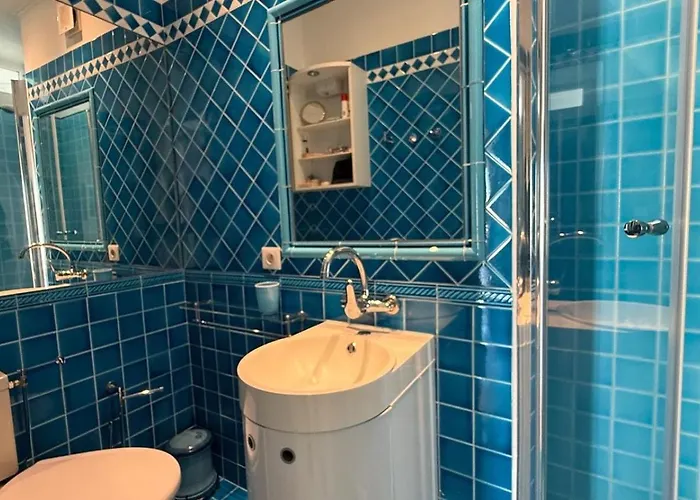 Palm Amazing View アパート カンヌ